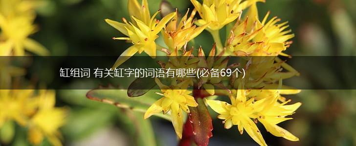 缸组词 有关缸字的词语有哪些(必备69个),第1张
