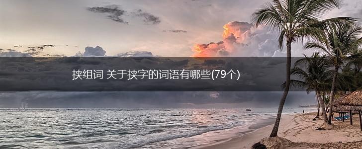 挟组词 关于挟字的词语有哪些(79个),第1张