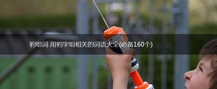 豹组词 用豹字组相关的词语大全(必备160个),第1张
