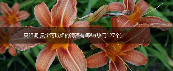 臭组词 臭字可以组的词语有哪些(热门127个),第1张