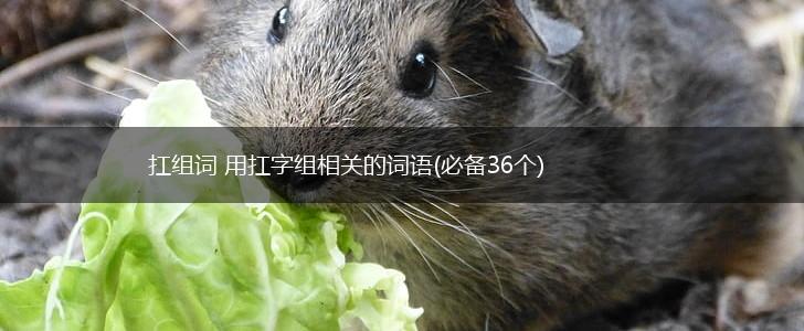 扛组词 用扛字组相关的词语(必备36个),第1张