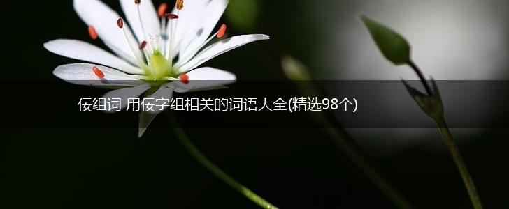 佞组词 用佞字组相关的词语大全(精选98个),第1张