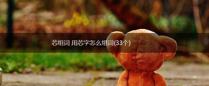 芯组词 用芯字怎么组词(33个),第1张