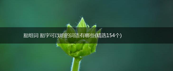 豁组词 豁字可以组的词语有哪些(精选154个),第1张