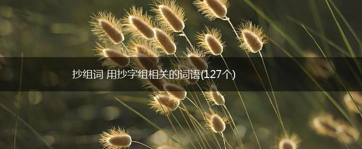 抄组词 用抄字组相关的词语(127个),第1张