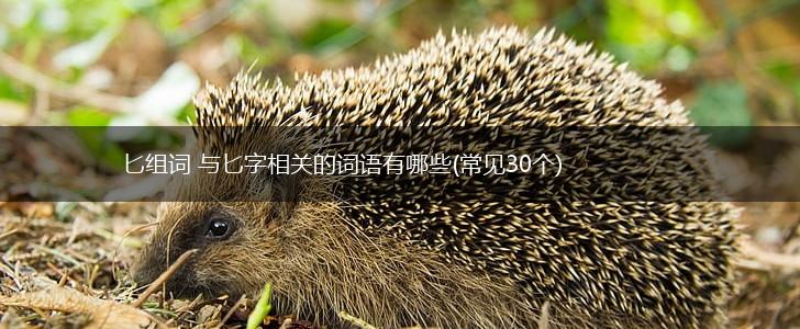 匕组词 与匕字相关的词语有哪些(常见30个),第1张