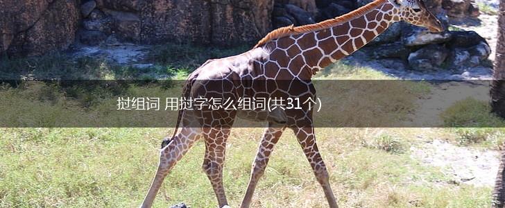 挝组词 用挝字怎么组词(共31个),第1张