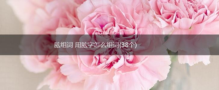 肱组词 用肱字怎么组词(38个),第1张 肱组词 用肱字怎么组词(38个),第1张