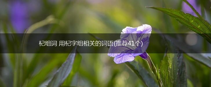 杞组词 用杞字组相关的词语(推荐41个),第1张