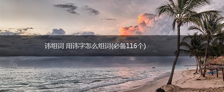 讳组词 用讳字怎么组词(必备116个),第1张