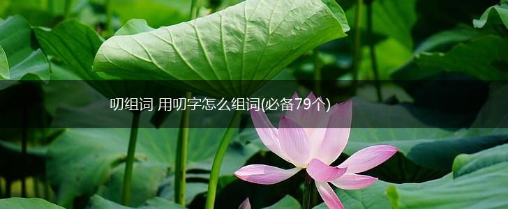 叨组词 用叨字怎么组词(必备79个),第1张