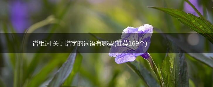 谱组词 关于谱字的词语有哪些(推荐169个),第1张