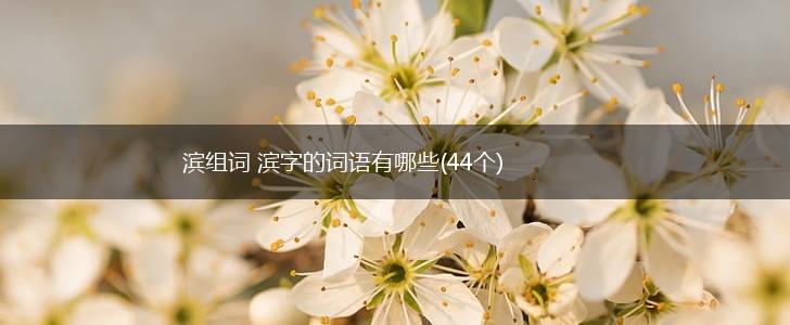 滨组词 滨字的词语有哪些(44个),第1张