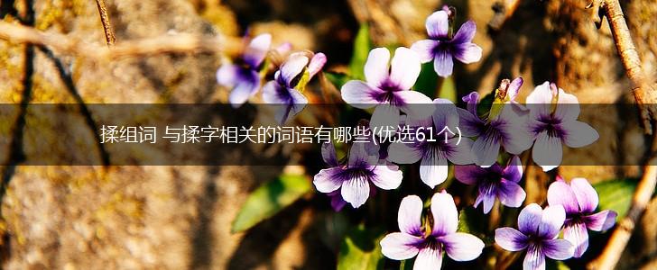 揉组词 与揉字相关的词语有哪些(优选61个),第1张