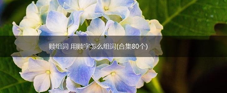 赎组词 用赎字怎么组词(合集80个),第1张