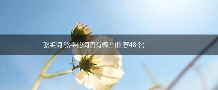 骆组词 骆字的词语有哪些(推荐48个),第1张