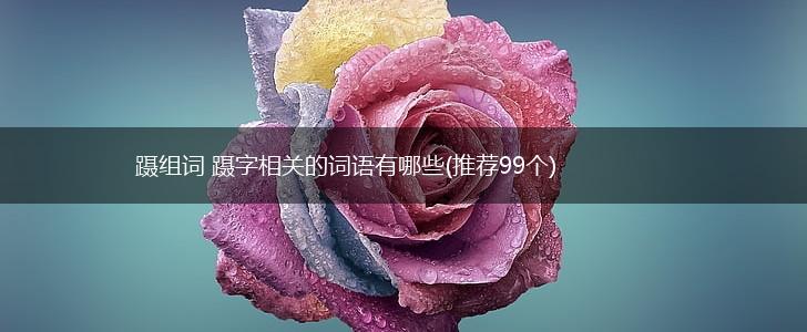 蹑组词 蹑字相关的词语有哪些(推荐99个),第1张
