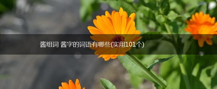 酱组词 酱字的词语有哪些(实用101个),第1张