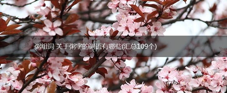 粥组词 关于粥字的词语有哪些(汇总109个),第1张