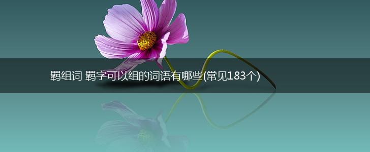 羁组词 羁字可以组的词语有哪些(常见183个),第1张