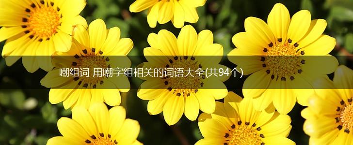 嘲组词 用嘲字组相关的词语大全(共94个),第1张