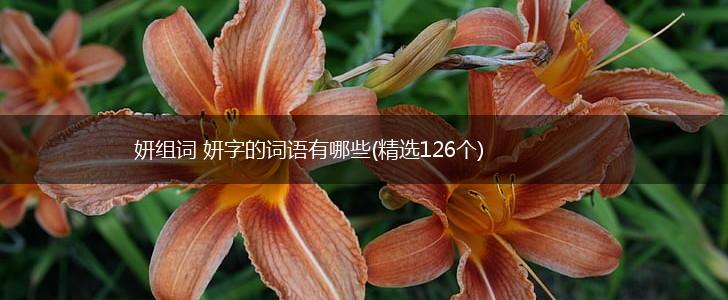 妍组词 妍字的词语有哪些(精选126个),第1张