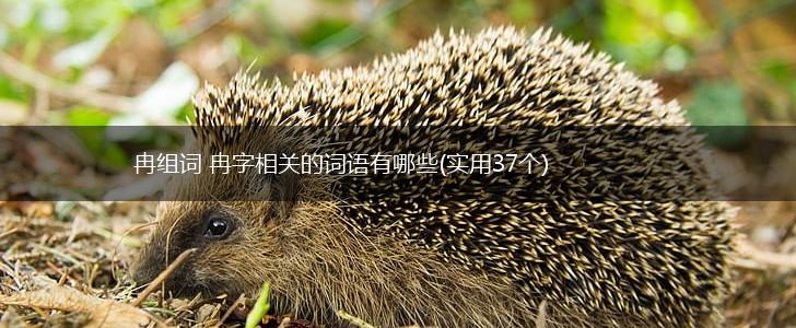 冉组词 冉字相关的词语有哪些(实用37个),第1张 冉组词 冉字相关的词语有哪些(实用37个),第1张
