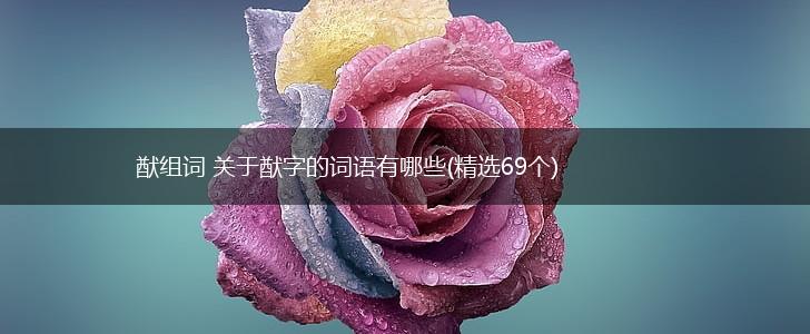 猷组词 关于猷字的词语有哪些(精选69个),第1张