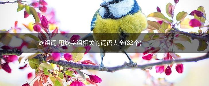 炊组词 用炊字组相关的词语大全(83个),第1张