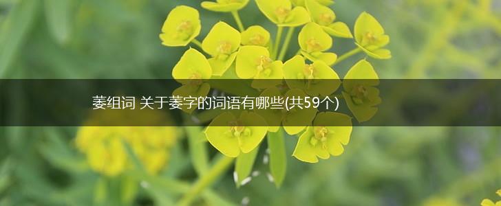萎组词 关于萎字的词语有哪些(共59个),第1张