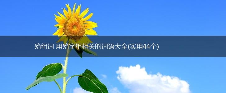 殆组词 用殆字组相关的词语大全(实用44个),第1张 殆组词 用殆字组相关的词语大全(实用44个),第1张