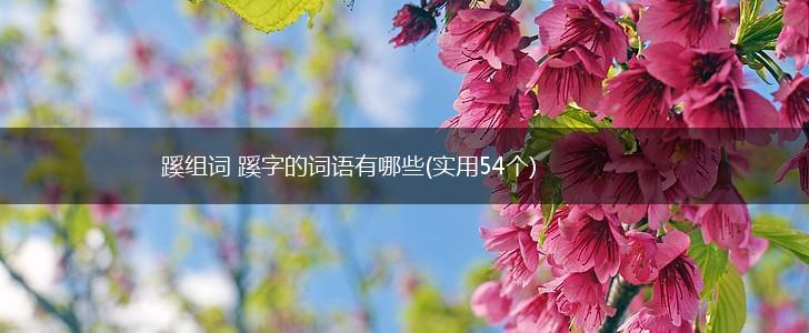 蹊组词 蹊字的词语有哪些(实用54个),第1张