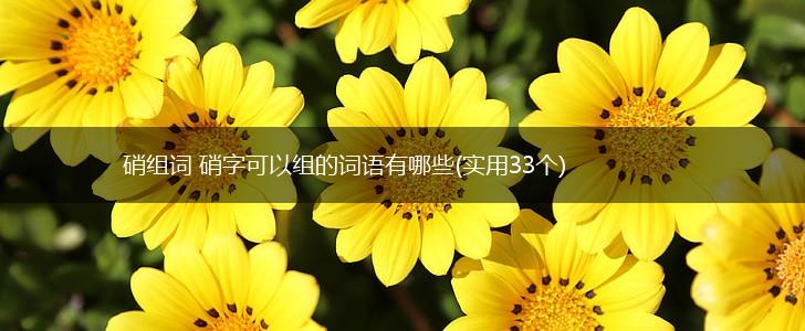 硝组词 硝字可以组的词语有哪些(实用33个),第1张