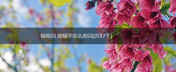 辐组词 用辐字怎么组词(共57个),第1张
