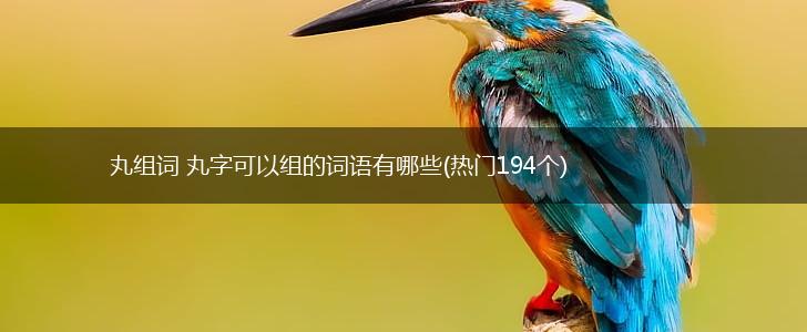 丸组词 丸字可以组的词语有哪些(热门194个),第1张