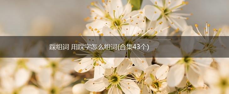 踩组词 用踩字怎么组词(合集43个),第1张