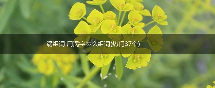 涡组词 用涡字怎么组词(热门37个),第1张 涡组词 用涡字怎么组词(热门37个),第1张