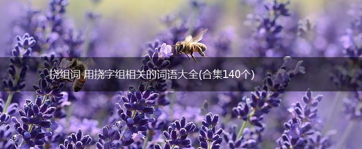 挠组词 用挠字组相关的词语大全(合集140个),第1张