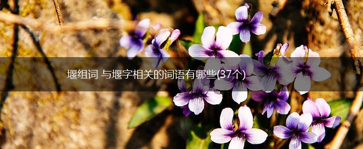 堰组词 与堰字相关的词语有哪些(37个),第1张