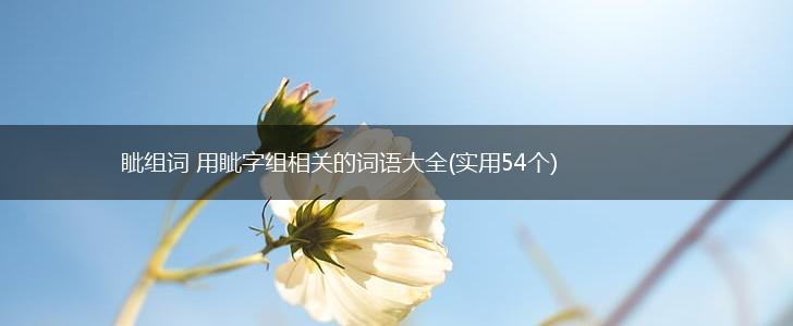眦组词 用眦字组相关的词语大全(实用54个),第1张