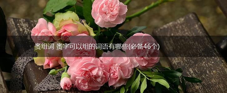 赉组词 赉字可以组的词语有哪些(必备46个),第1张