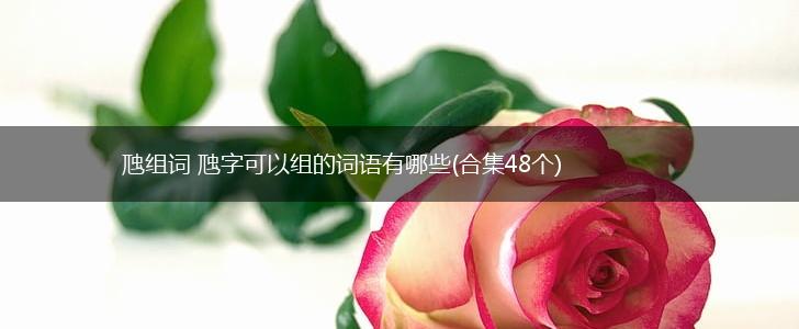 虺组词 虺字可以组的词语有哪些(合集48个),第1张