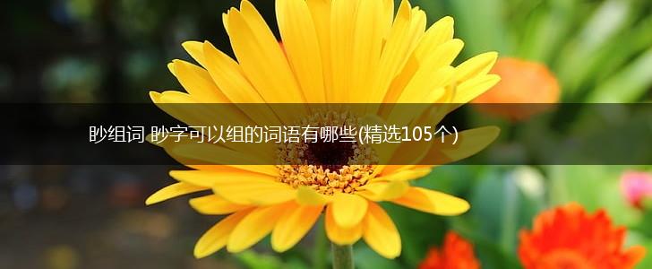 眇组词 眇字可以组的词语有哪些(精选105个),第1张