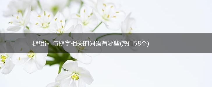 槌组词 与槌字相关的词语有哪些(热门58个),第1张
