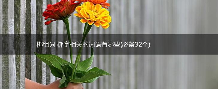 梆组词 梆字相关的词语有哪些(必备32个),第1张