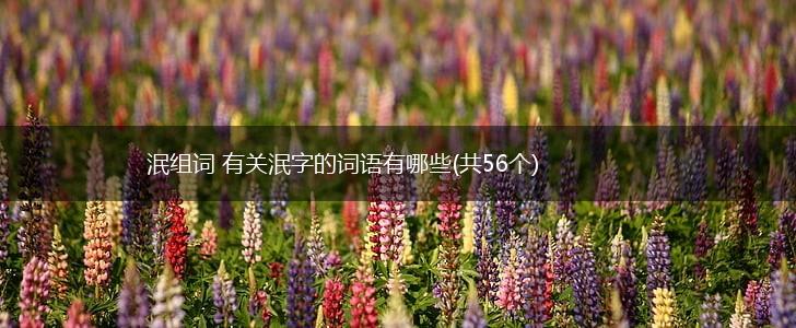 泯组词 有关泯字的词语有哪些(共56个),第1张