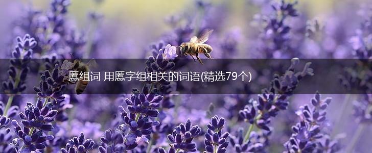 慝组词 用慝字组相关的词语(精选79个),第1张