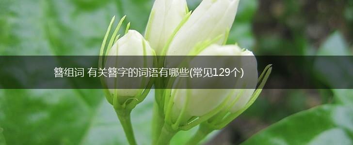 簪组词 有关簪字的词语有哪些(常见129个),第1张