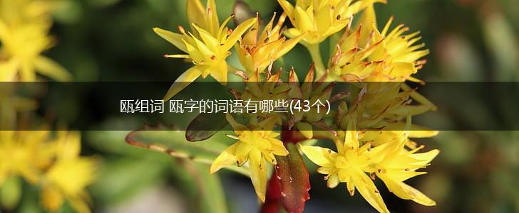 瓯组词 瓯字的词语有哪些(43个),第1张 瓯组词 瓯字的词语有哪些(43个),第1张