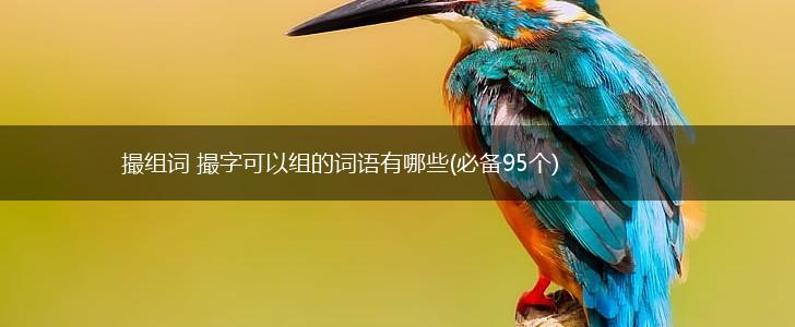 撮组词 撮字可以组的词语有哪些(必备95个),第1张